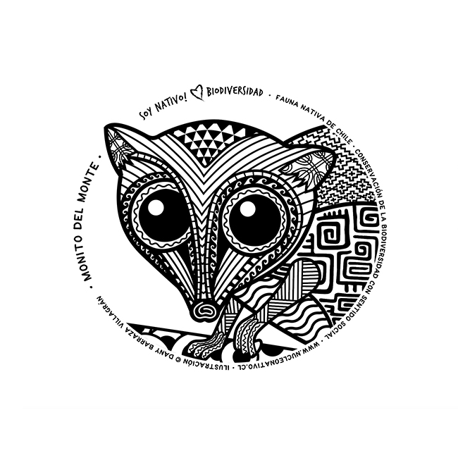 BASE_NuNat_ilus_BN_monito