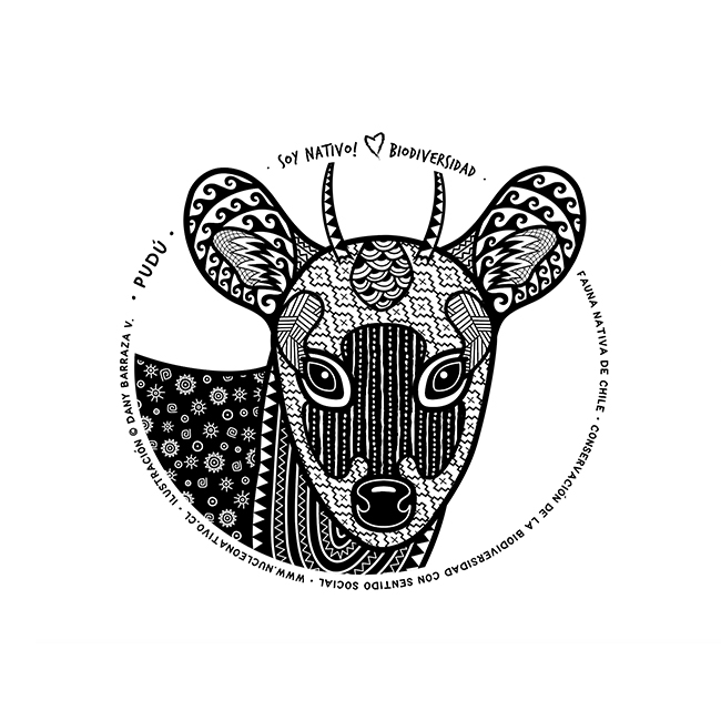 BASE_NuNat_ilus_BN_pudu