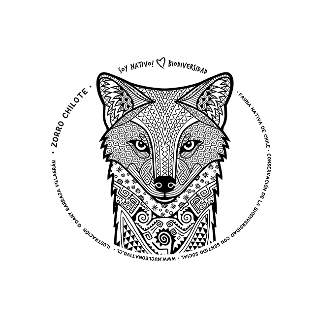 BASE_NuNat_ilus_BN_zorro