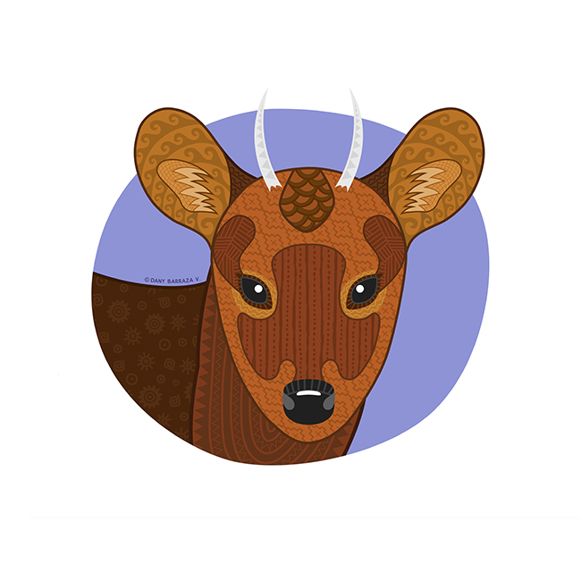 BASE_NuNat_ilus_pudu