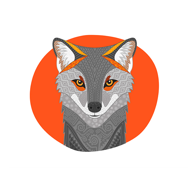 BASE_NuNat_ilus_zorro